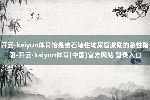 开云·kaiyun体育恰是结石堵住输尿管激励的急性险阻-开云·kaiyun体育(中国)官方网站 登录入口